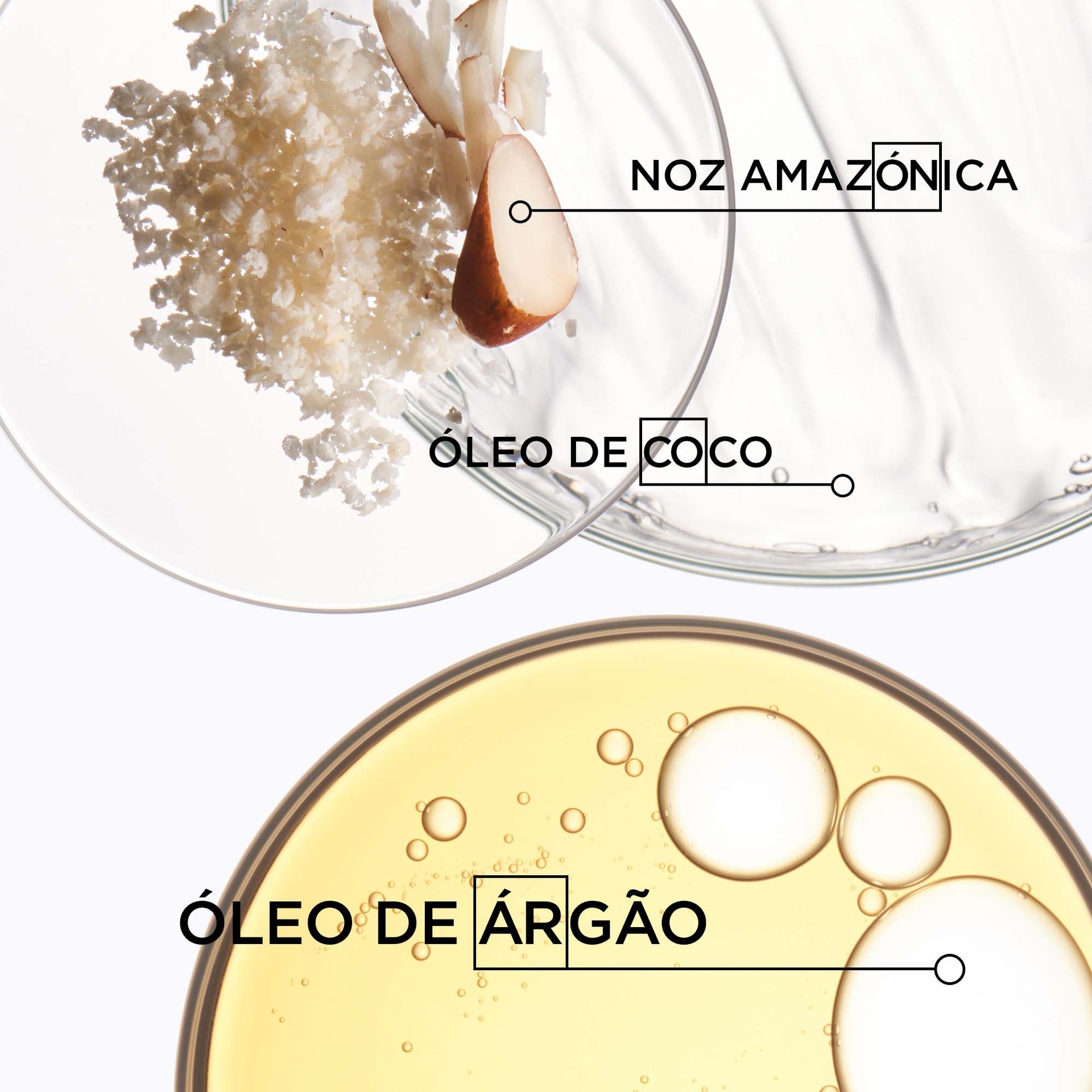 Ingredientes aura botânica de kérastase